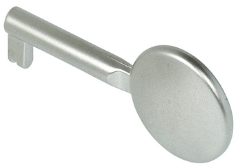 Decorative Key, Zinc Alloy, with 40 mm Effective Shank Length