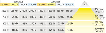 LED Downlight 12 V, Rated IP20, Ø 65 mm, Loox5 LED 2025