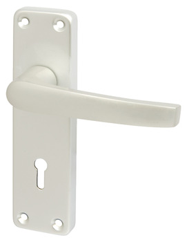 Lever Handles, on Backplates for Lever Lock, 152 mm, Contract