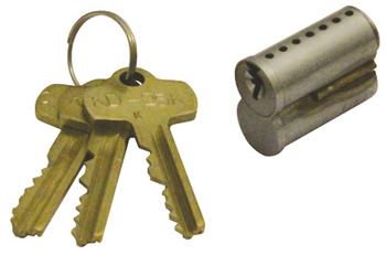 Removable Cylinder, for Simplex 1000 Mechanical Digital Locks, Key Override Versions