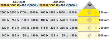 LED Downlight 12 V, Rated IP20, Ø 65 mm, Loox5 LED 2025